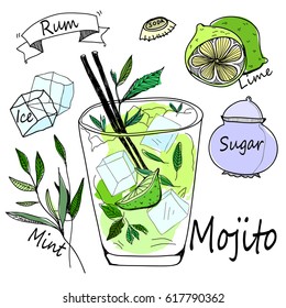 Mojito ingredients. Colored graphic hand drawn vector illustration