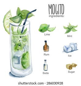 Mojito with ingredients. Vector watercolor illustration.