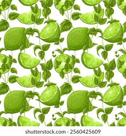 Mojito seamless pattern. Lime, mint on white background. Vector cartoon illustration. Bright summer citrus fruit print. Fresh lemonade, cocktail, tonic ornament for bar, restaurants, textile, decor