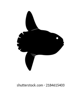 mola mola fish logo, Vektorvorlage