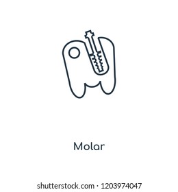 Molar concept line icon. Linear Molar concept outline symbol design. This simple element illustration can be used for web and mobile UI/UX.