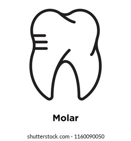 Molar icon vector isolated on white background, Molar transparent sign , line and outline elements in linear style