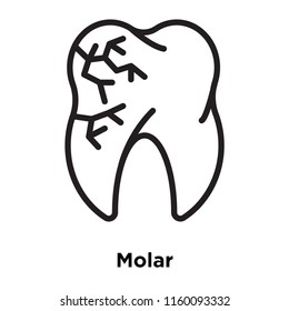 Molar icon vector isolated on white background, Molar transparent sign , line and outline elements in linear style
