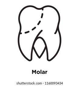 Molar icon vector isolated on white background, Molar transparent sign , line and outline elements in linear style