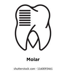 Molar icon vector isolated on white background, Molar transparent sign , line and outline elements in linear style