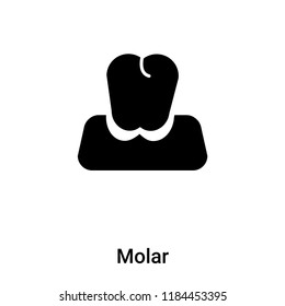 Molar icon vector isolated on white background, logo concept of Molar sign on transparent background, filled black symbol