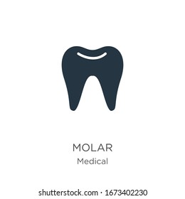 Molar icon vector. Trendy flat molar icon from medical collection isolated on white background. Vector illustration can be used for web and mobile graphic design, logo, eps10