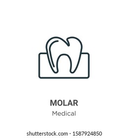 Molar outline vector icon. Thin line black molar icon, flat vector simple element illustration from editable medical concept isolated on white background