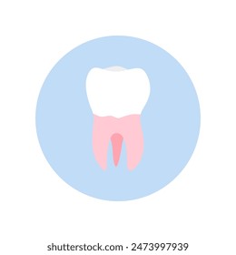 molar teeth flat design vector illustration. Oral medicine, stomatology, dental medicine concepts. White tooth healthcare. Modern flat design graphic element. Vector illustration