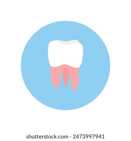 molar teeth flat design vector illustration. Oral medicine, stomatology, dental medicine concepts. White tooth healthcare. Modern flat design graphic element. Vector illustration