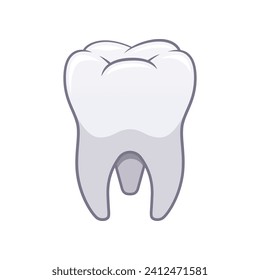 Vector de dientes molares de fondo blanco aislado.