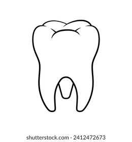 Molar teeth vector line art isolated white background.