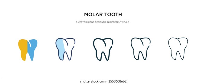 molar tooth icon in different style vector illustration. two colored and black molar tooth vector icons designed in filled, outline, line and stroke style can be used for web, mobile, ui