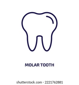 molar tooth icon from medical collection. Thin linear molar tooth, molar, hygiene outline icon isolated on white background. Line vector molar tooth sign, symbol for web and mobile