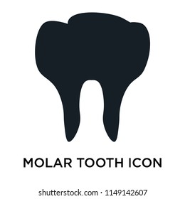 Molar tooth icon vector isolated on white background for your web and mobile app design, Molar tooth logo concept