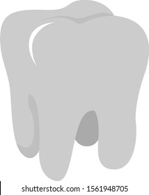 Molar tooth, illustration, vector on white background.