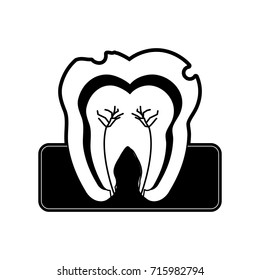 molar tooth inside dentistry icon image 