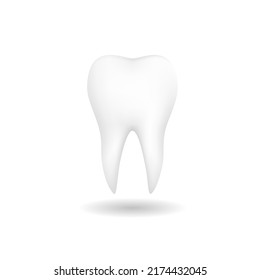 Molar tooth on white background vector illustration