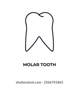 molar tooth outline icon. Linear vector from medical concept. Thin line molar tooth icon isolated on white background