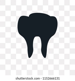 Molar tooth vector icon isolated on transparent background, Molar tooth logo concept