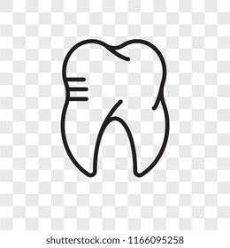 Molar vector icon isolated on transparent background, Molar logo concept