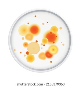 Mold fungus bacteria colony composition with isolated realistic image of laboratory plate with microbes vector illustration