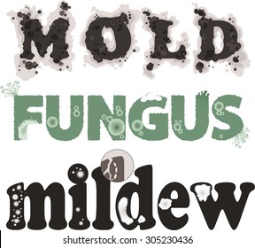 Mold, fungus and mildew. Decorative lettering, no transparencies, EPS 8, each word on a separate layer