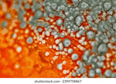 Mold on tangerine, a fungus called Penicillium expansum