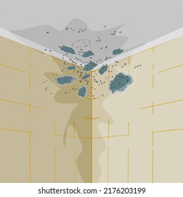 Malt an Wänden und Decke. Malt an der Wand im Badezimmer oder Wohnzimmer. Mühle unter der Dusche. Steine an Wand und Schleier. Konzept der Kondensations-, Feuchtigkeits-, Feuchtigkeits- und Atembeschwerden.Vektorgrafik