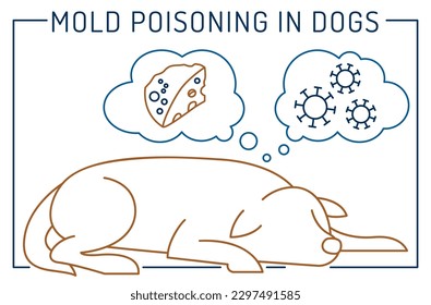 Mold poisoning, inflammation. Common ear problems in dogs. Medical veterinarian horizontal poster. Vector illustration in ounline style isolated on a white background