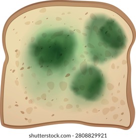 Mold spots on bread slice. Moldy bread spoil food waste. Fungus green round stains. Spore mold microbes. Mildew infection blot. Realistic vector illustration isolated. Biologically hazardous taint