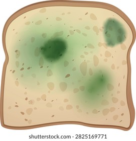 Mold spots on bread slice. Moldy bread spoil food waste. Fungus green spore mold round stain. Mildew microbes infection blot. Realistic vector illustration isolated. Biologically hazardous taint