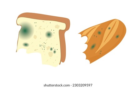 Moldy bread vector set. Inedible bread with mold illustration. Organic waste and garbage concept. Waste sorting theme. Flat vector in cartoon style isolated on white background. Mouldy bread vector.