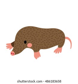 Mole animal cartoon character isolated on white background.