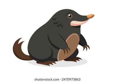 
Mole animal flat vector illustration on white background.