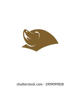 Mole animal logo icon design illustration vector template