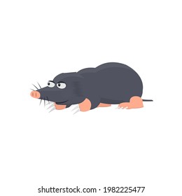 Mole. Animal mole, vector illustration