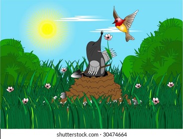 mole came out of burrow and presents bird a flower