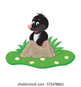 Mole cartoon illustration