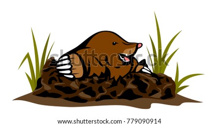 Mole coming out of the hole in the ground