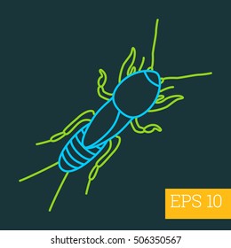 mole cricket beetle linear vector illustration. insect outline icon.