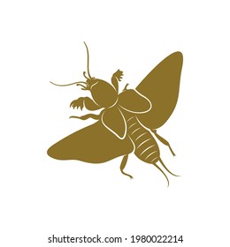 Mole Cricket design vector illustration, Creative Mole Cricket logo design concept template, symbols icons