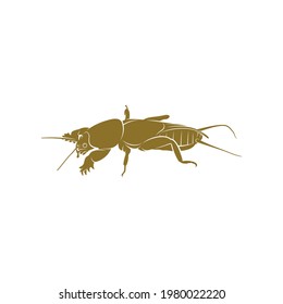 Mole Cricket design vector illustration, Creative Mole Cricket logo design concept template, symbols icons