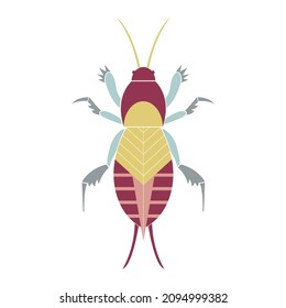 Mole cricket insect. Decorative design. Geometric insect vector illustration in flat style