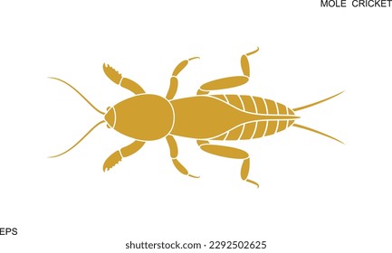 Logo de Mole Cricket. Cricket de topo aislado sobre fondo blanco