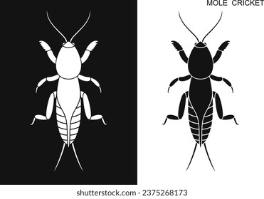 Mole cricket logo. Isolated mole cricket on white background