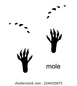 Mole footprint, mole track. Mole steps. Handprint in black color. Vector illustration isolated on white background. For posters, greeting cards, book cover, flyers, banner, game designs