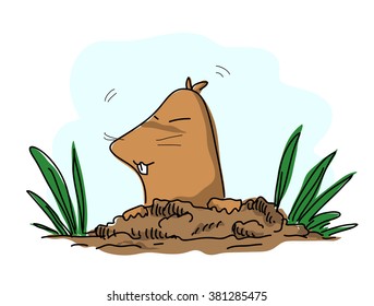 Mole, a hand drawn vector illustration of a mole coming out of the ground, isolated on a simple background (editable).