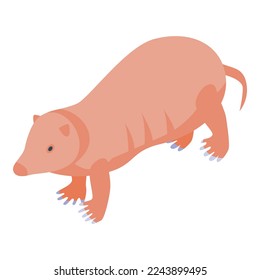 Mole hole icon isometric vector. Animal cute. Sleep funny