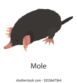 Mole icon. Isometric illustration of mole vector icon for web